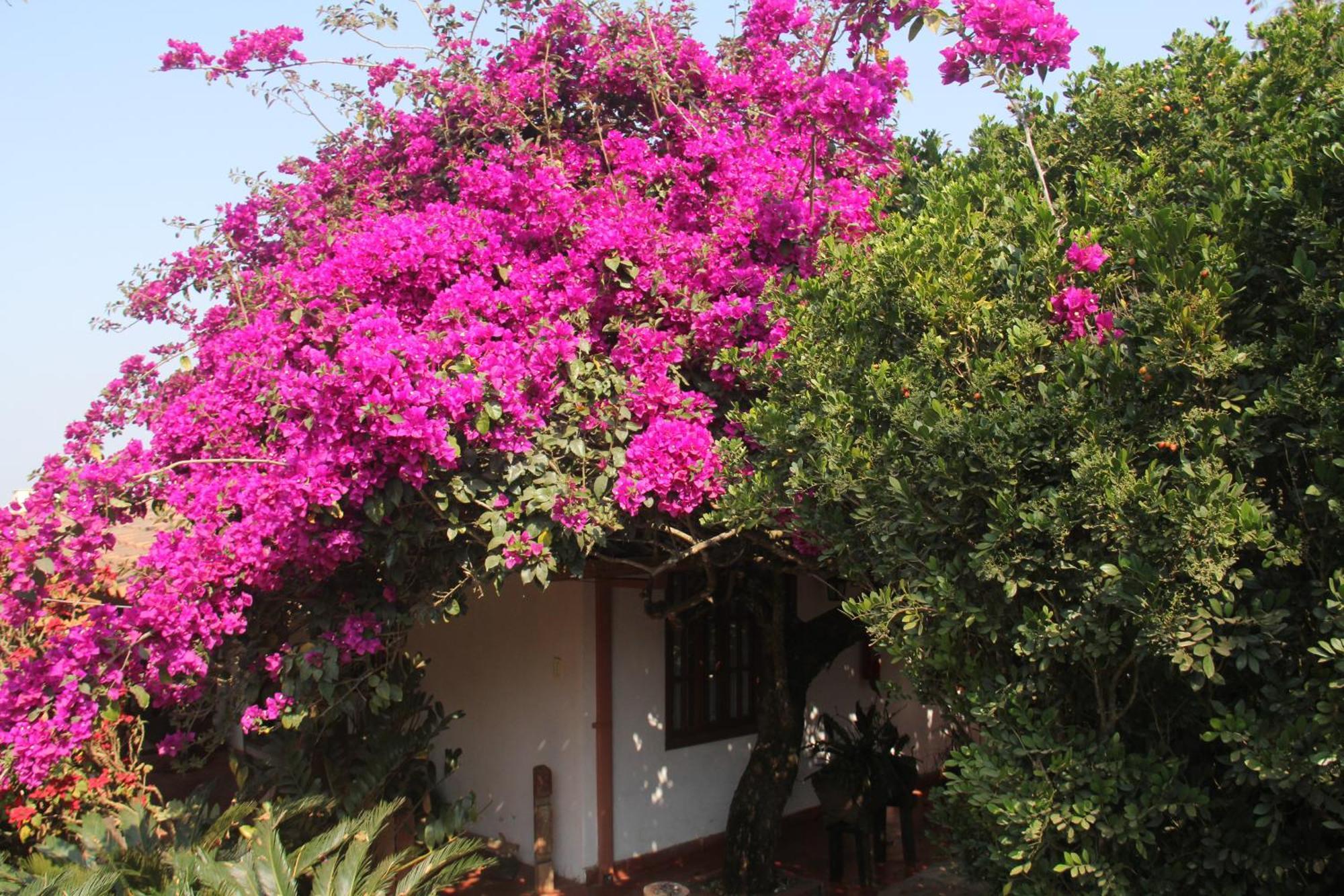 Pousada Kokopelli Lavras Novas Exterior foto